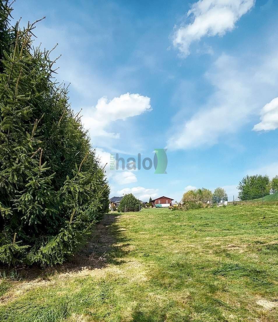 Pronájem pozemku 960 m² - foto 6
