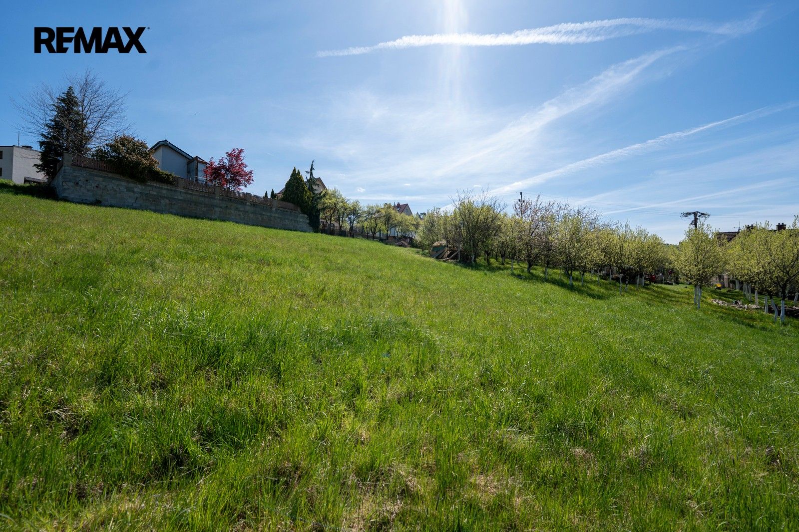 Prodej pozemku 5624 m² - foto 10