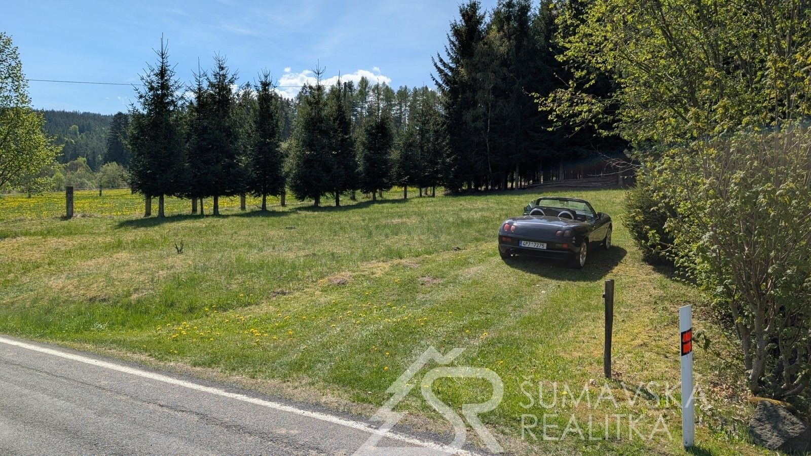Prodej pozemku 8878 m² - foto 6
