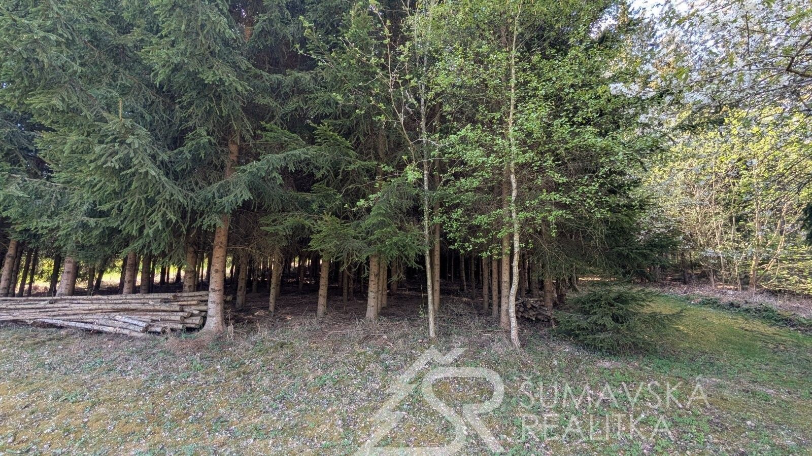 Prodej pozemku 8878 m² - foto 14