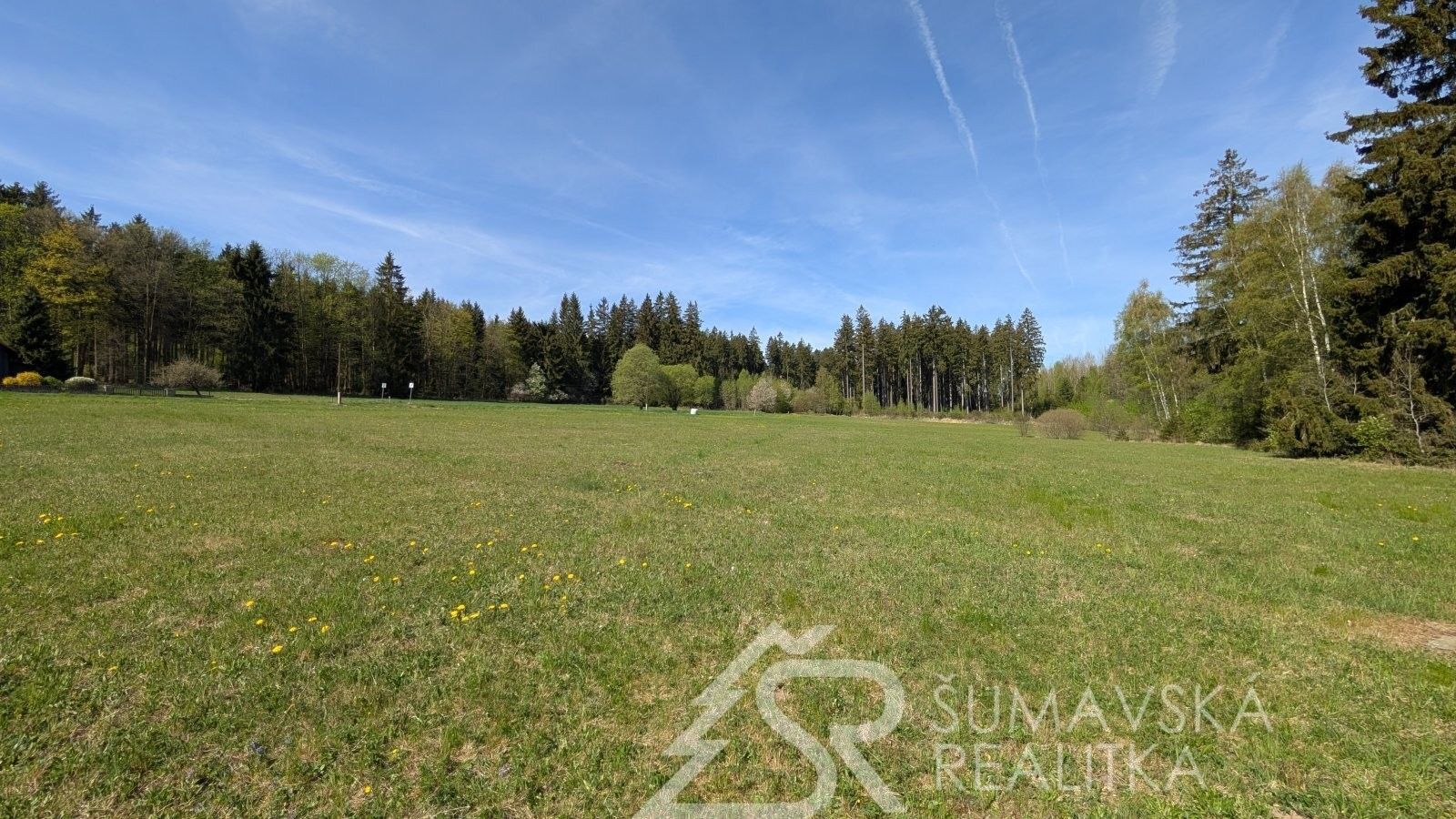 Prodej pozemku 8869 m² - foto 9