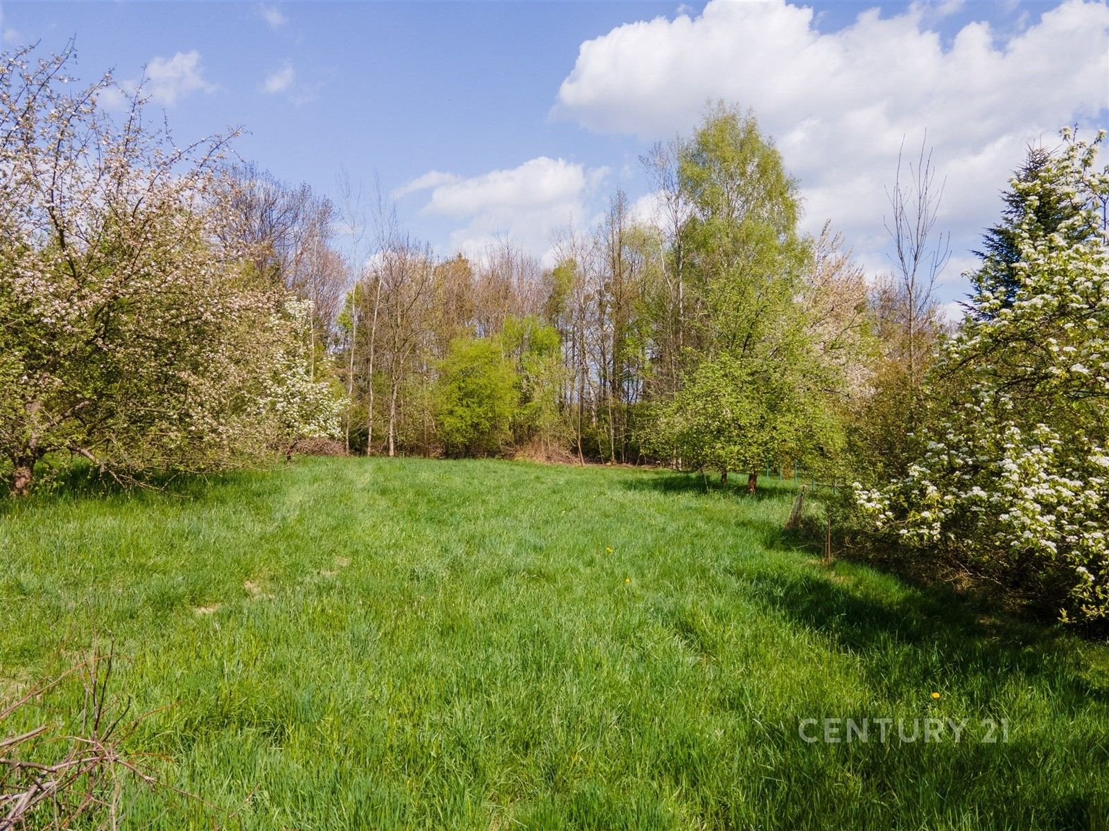 Prodej pozemku 2673 m² - foto 3