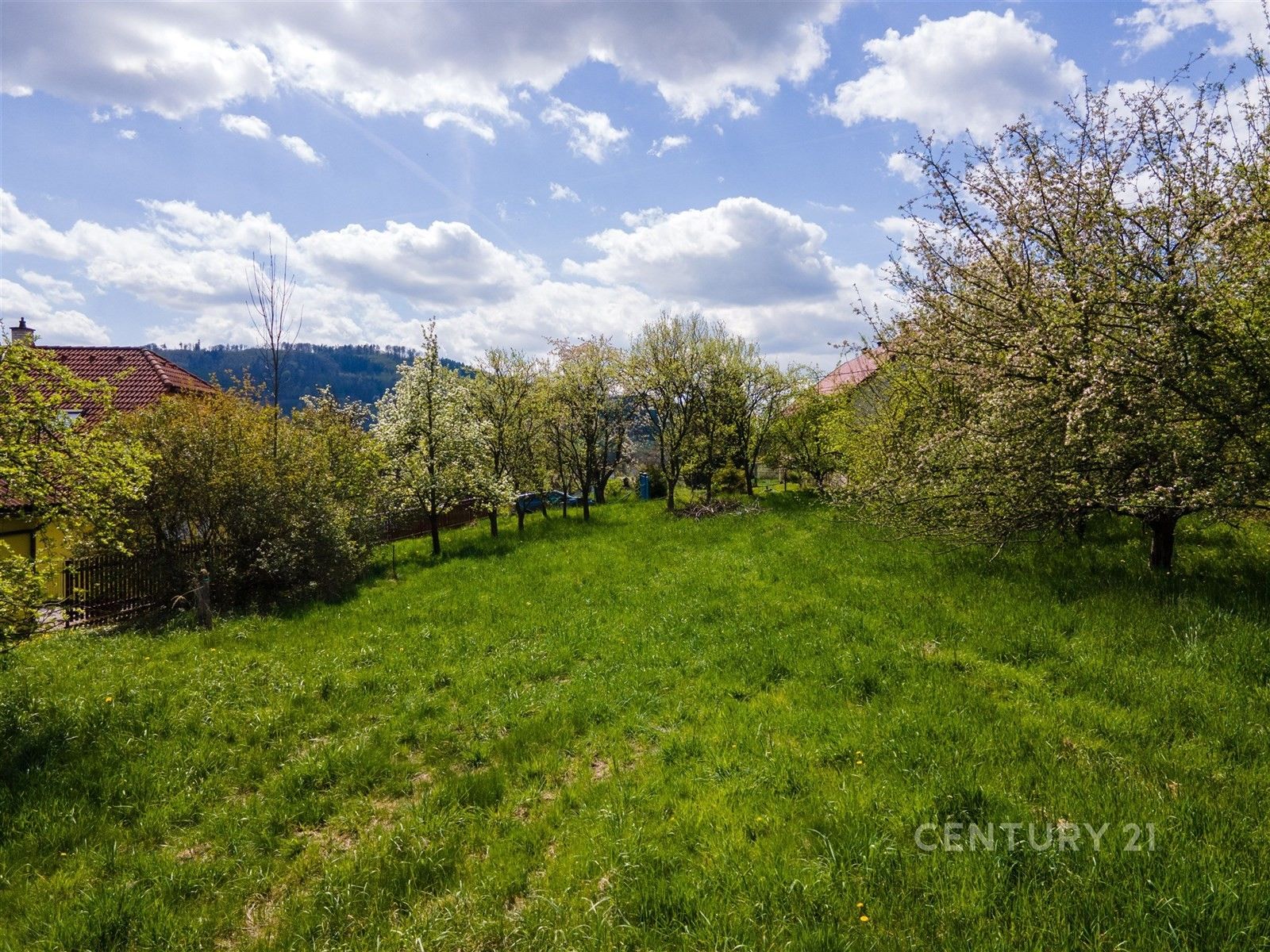 Prodej pozemku 2673 m² - foto 4