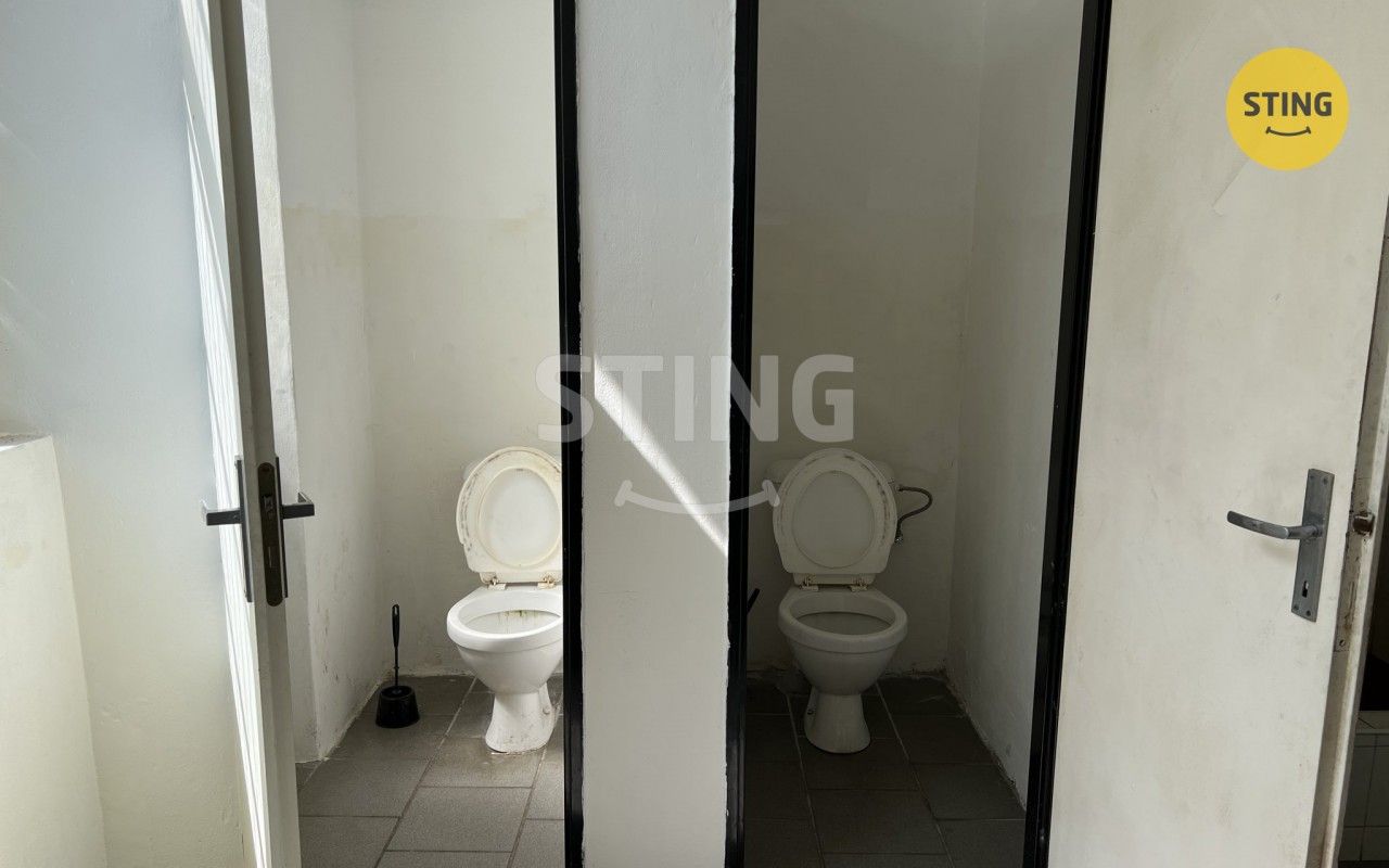 Pronájem nemovitosti 165 m² - foto 6