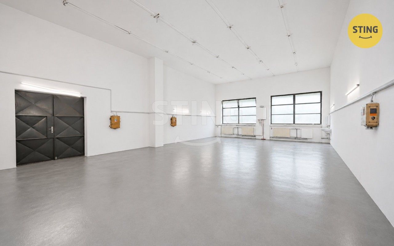 Pronájem komerčního prostoru 165 m² - foto 4