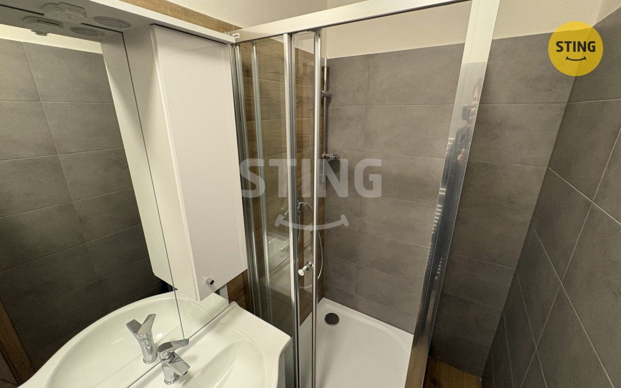 Pronájem bytu 1+kk 47 m² - foto 8