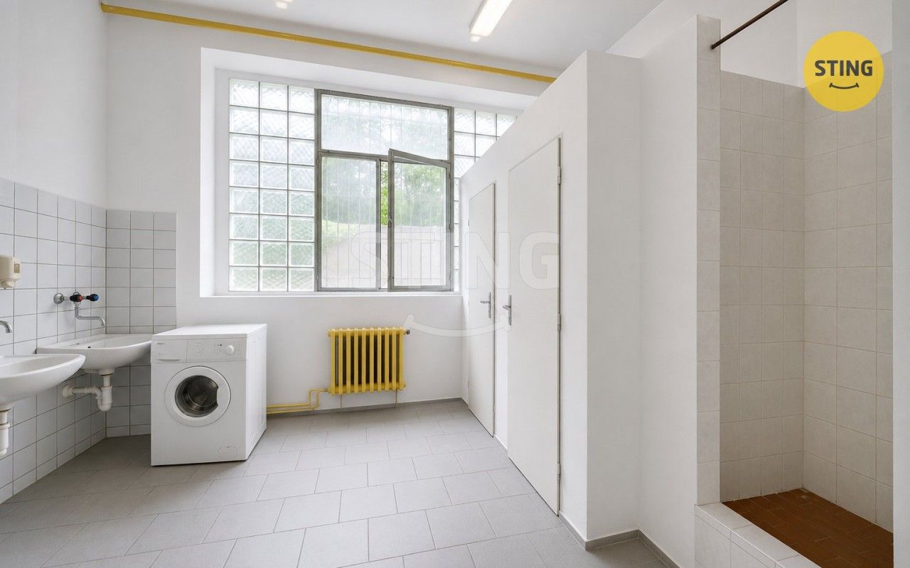 Pronájem komerčního prostoru 165 m² - foto 9