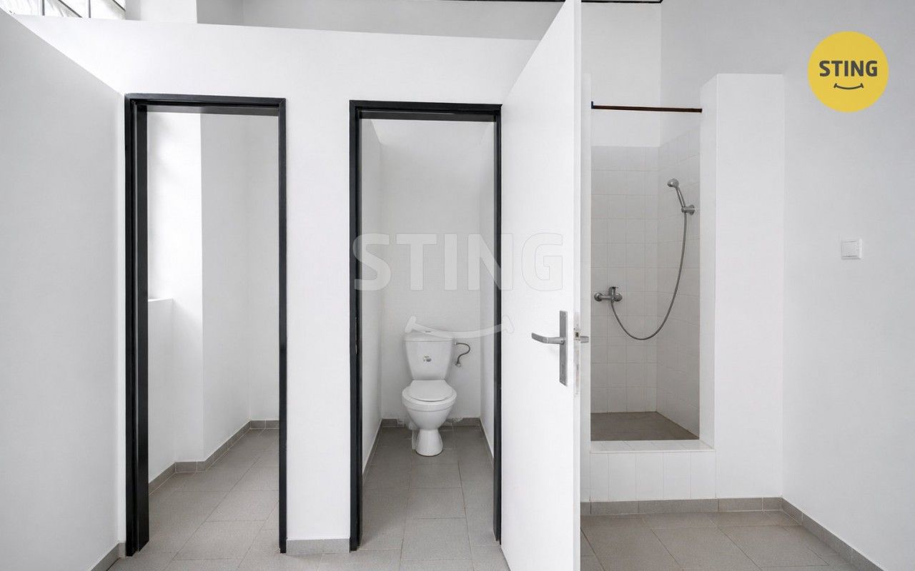 Pronájem komerčního prostoru 165 m² - foto 11