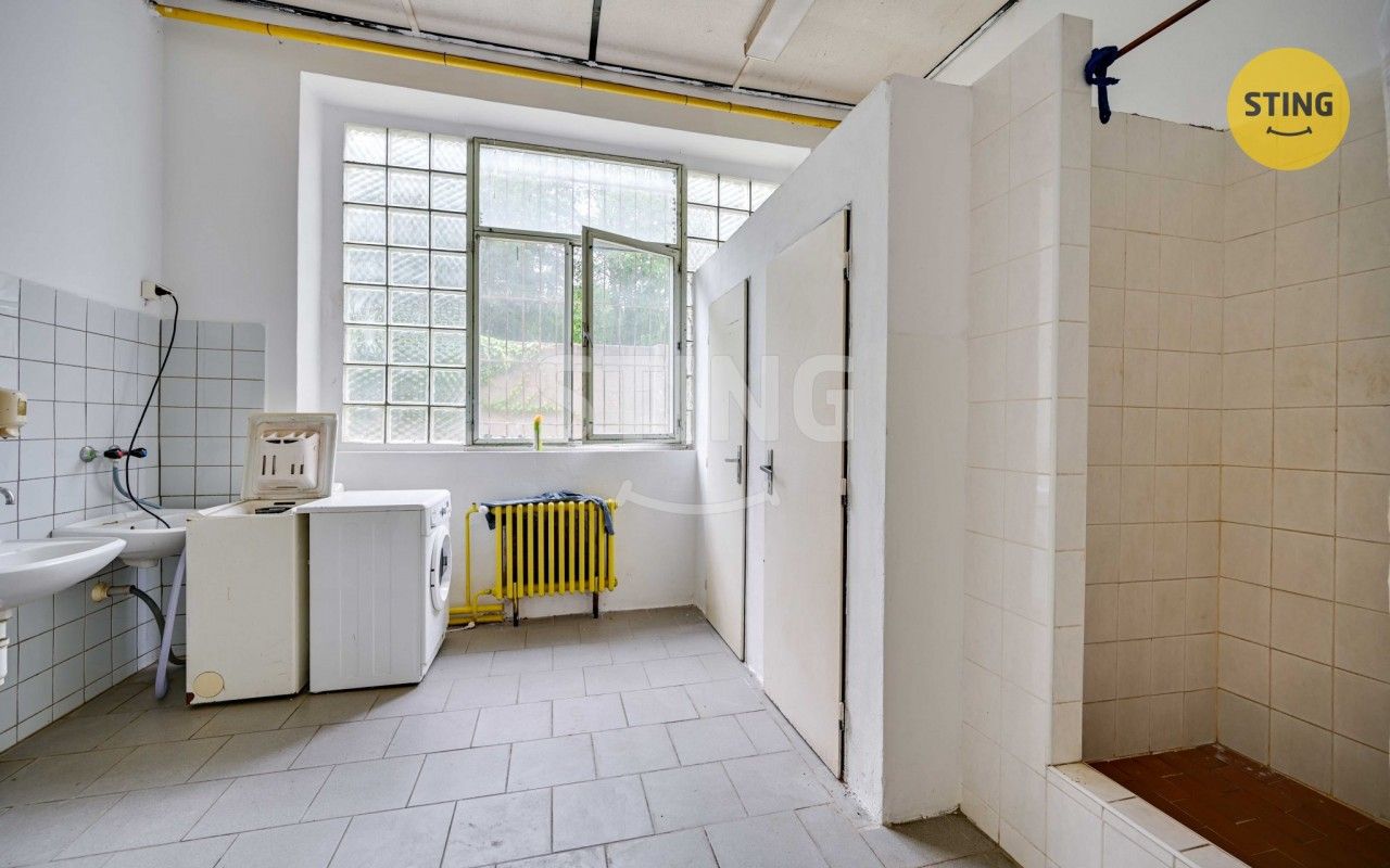 Pronájem komerčního prostoru 165 m² - foto 10