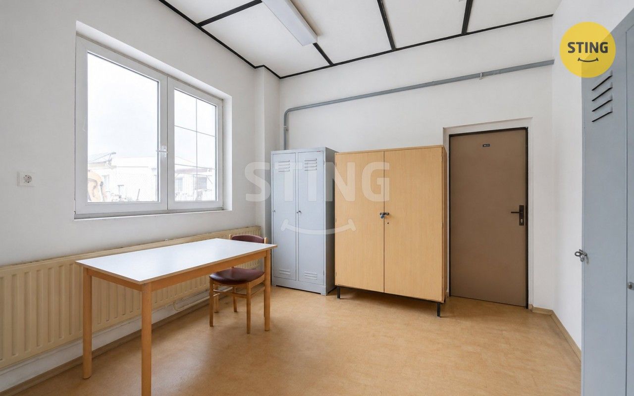 Pronájem komerčního prostoru 165 m² - foto 13