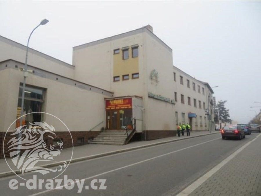 Prodej nemovitosti 2957 m² - foto 3