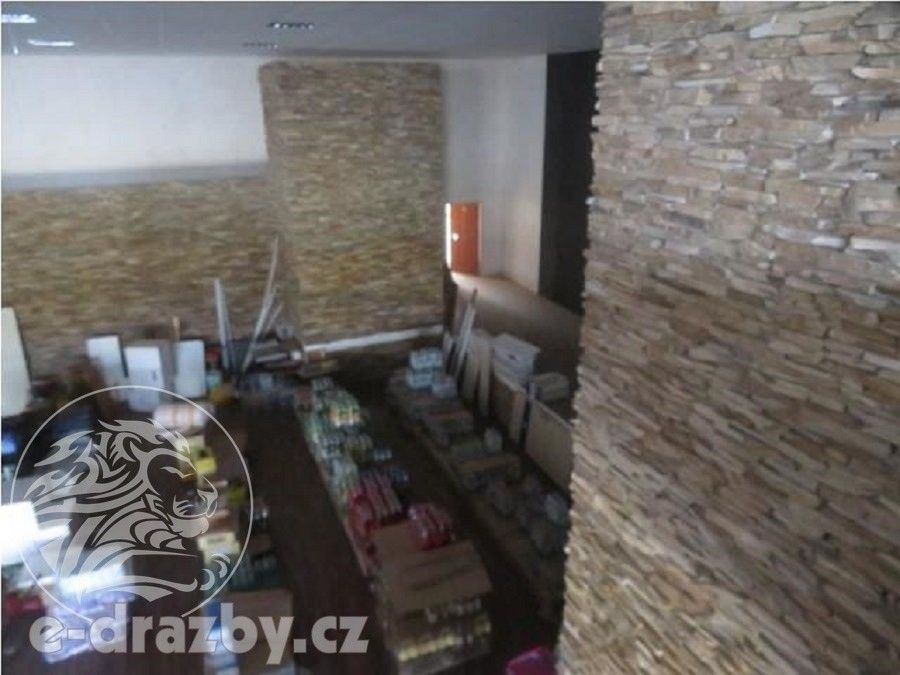 Prodej nemovitosti 2957 m² - foto 4
