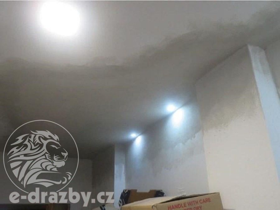 Prodej nemovitosti 2957 m² - foto 10