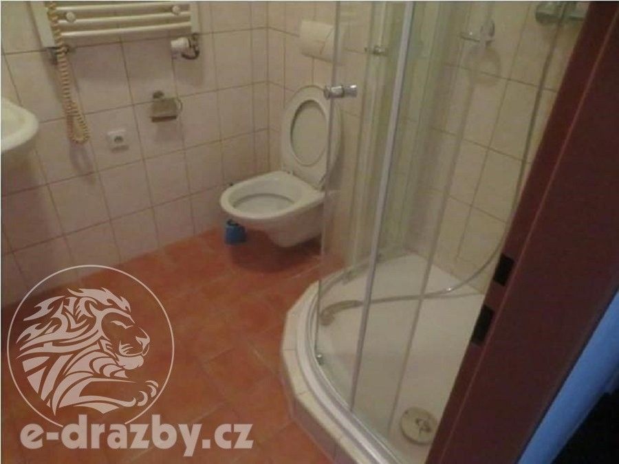 Prodej nemovitosti 2957 m² - foto 22