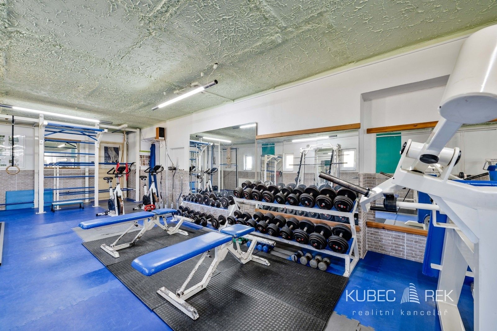 Prodej nemovitosti 514 m² - foto 13