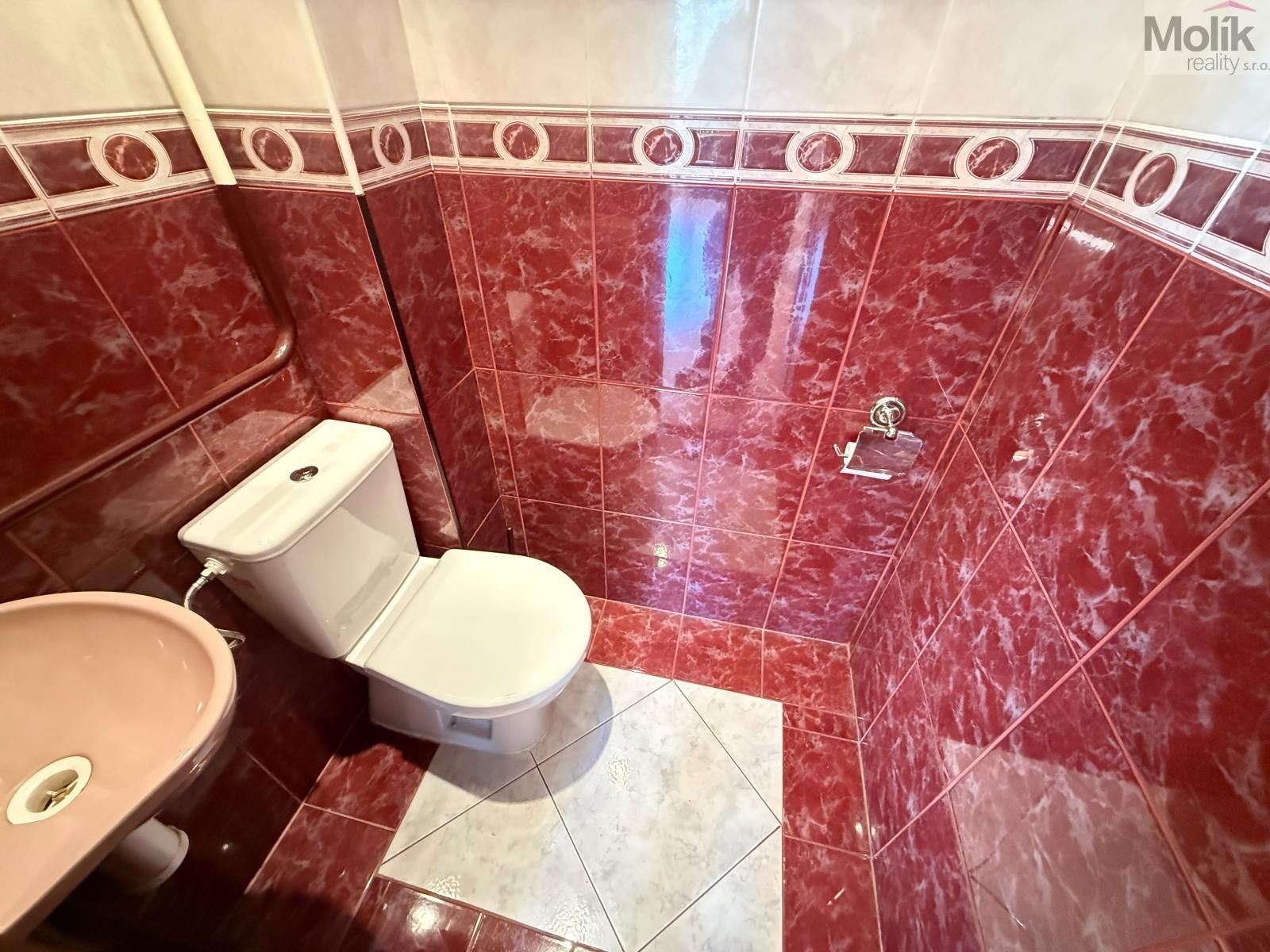 Pronájem bytu 256 m² - foto 10