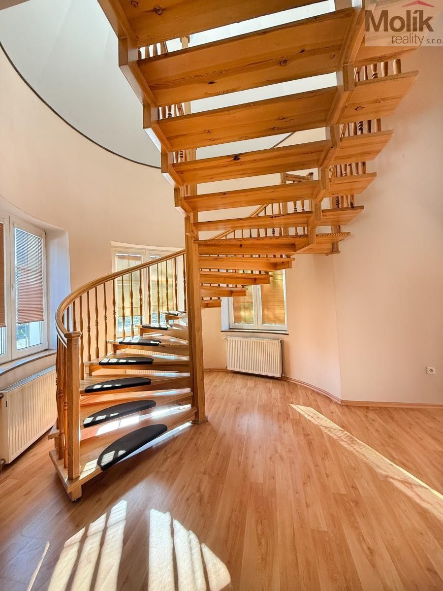 Pronájem bytu 256 m² - foto 21