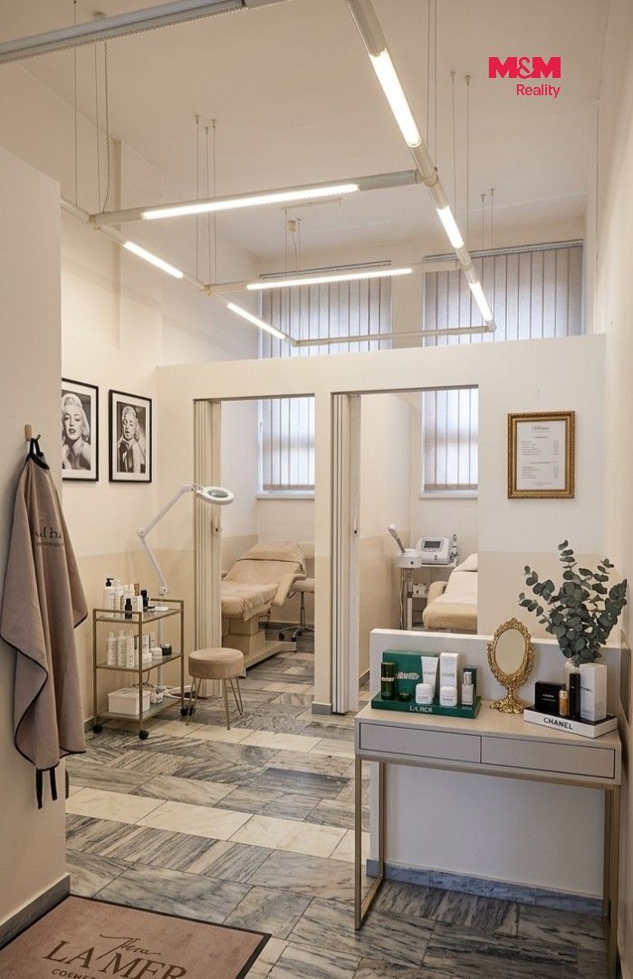 Prodej komerčního prostoru 159 m² - foto 10