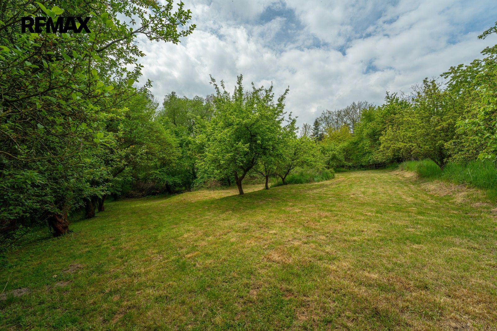 Prodej pozemku 660 m² - foto 4