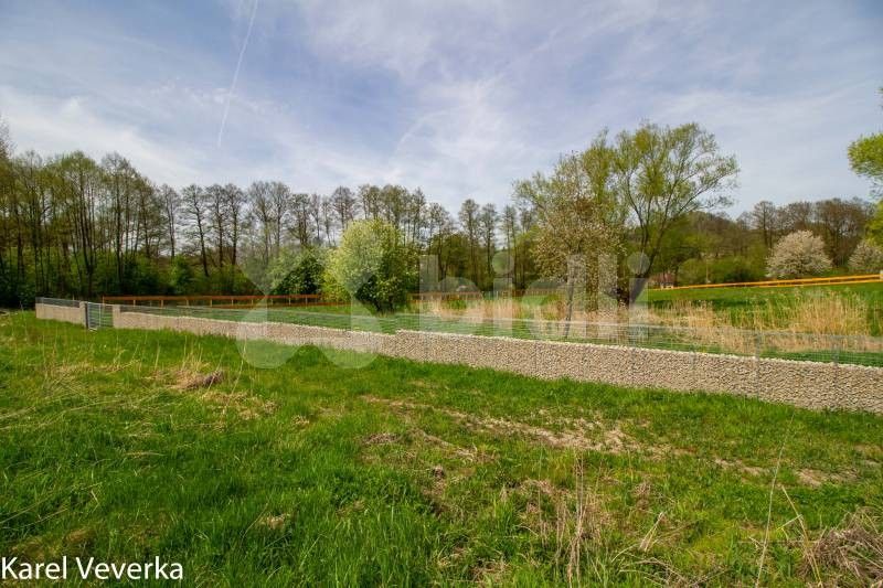 Prodej pozemku 10487 m² - foto 13