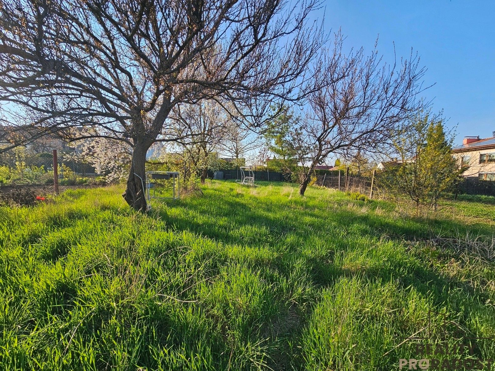 Prodej pozemku 655 m² - foto 1