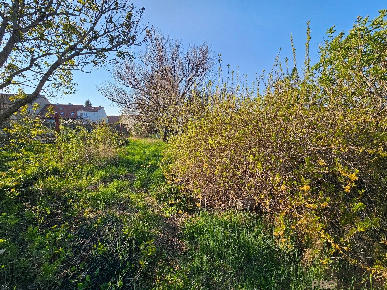 Prodej pozemku 655 m² - foto 4