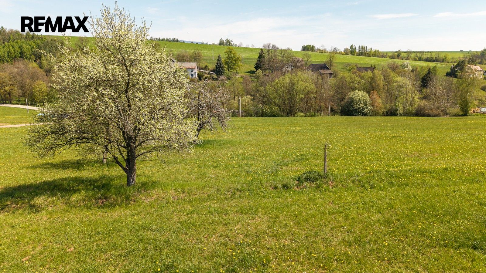 Prodej pozemku 10364 m² - foto 6