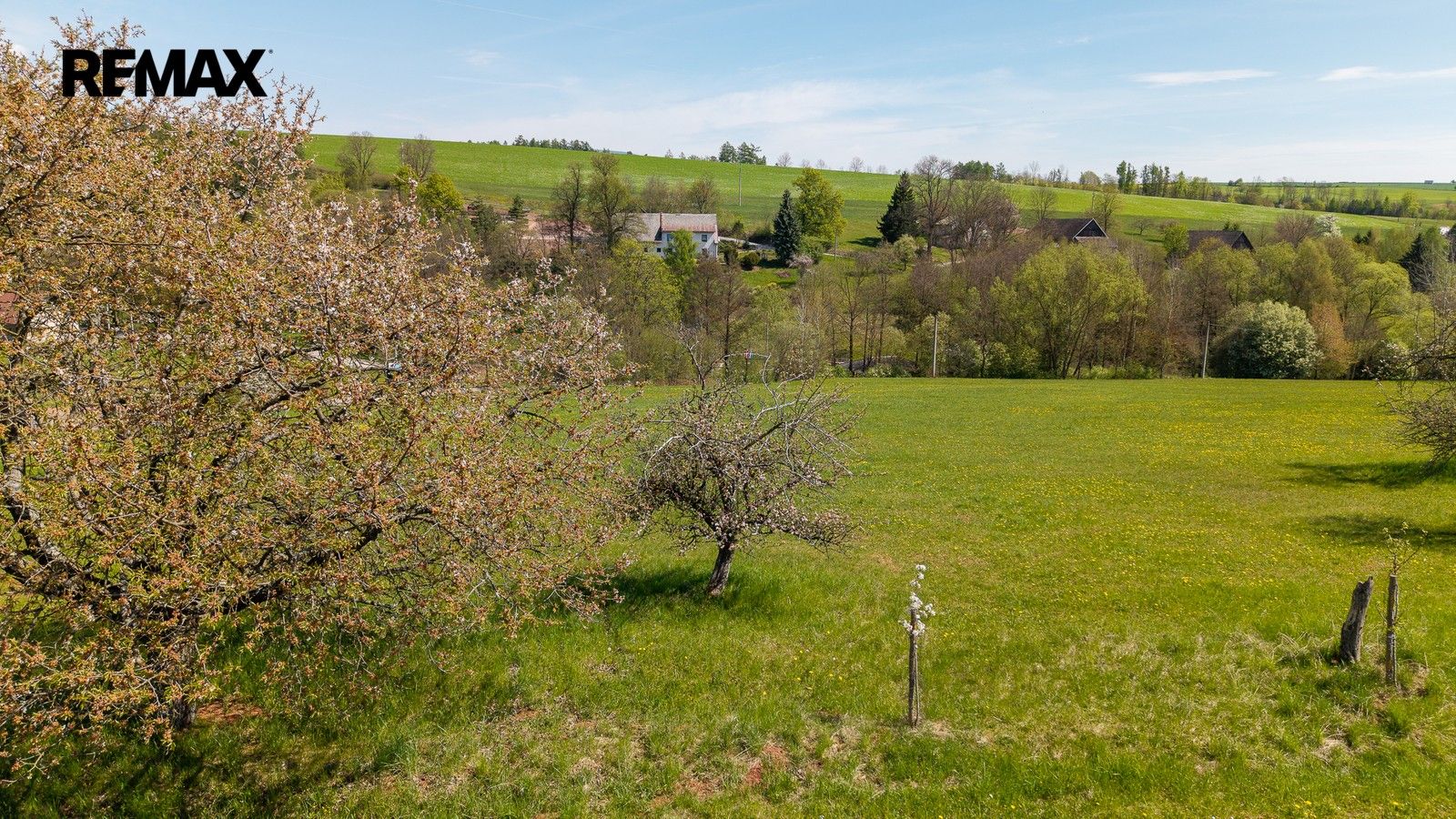 Prodej pozemku 10364 m² - foto 13
