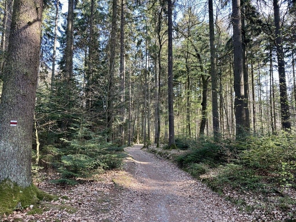 Prodej pozemku 1795 m² - foto 7