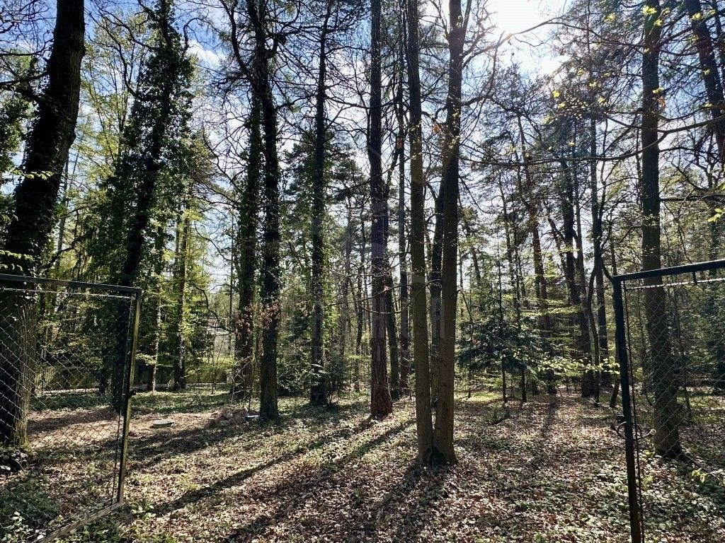 Prodej pozemku 1795 m² - foto 11