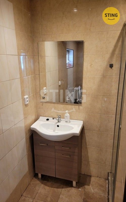 Pronájem bytu 2+1 51 m² - foto 6