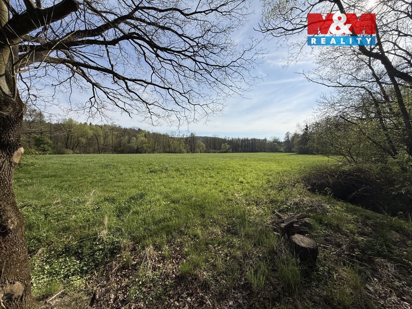 Prodej nemovitosti 214 m² - foto 11