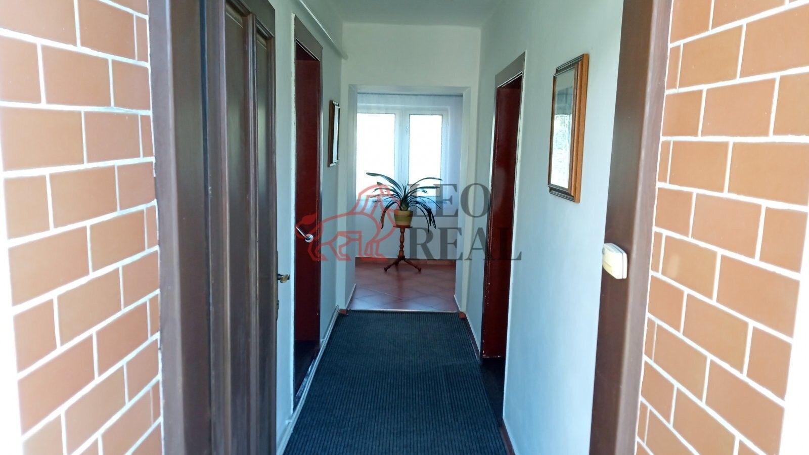 Prodej domu 266 m² - foto 4