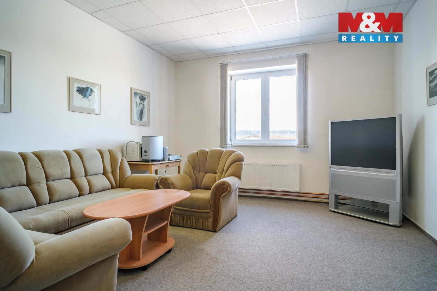 Pronájem komerčního prostoru 1200 m² - foto 8