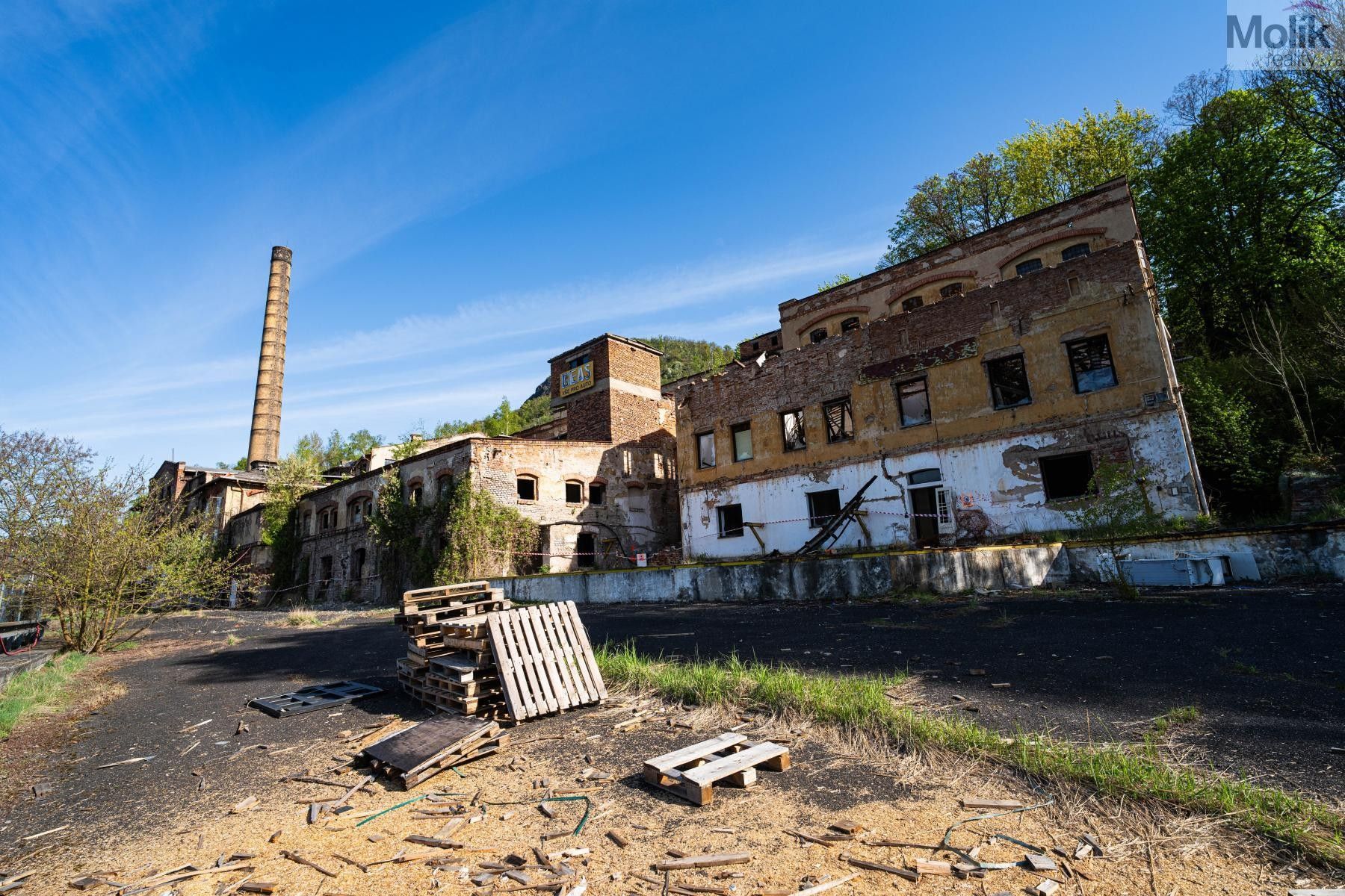 Prodej nemovitosti 35000 m² - foto 8