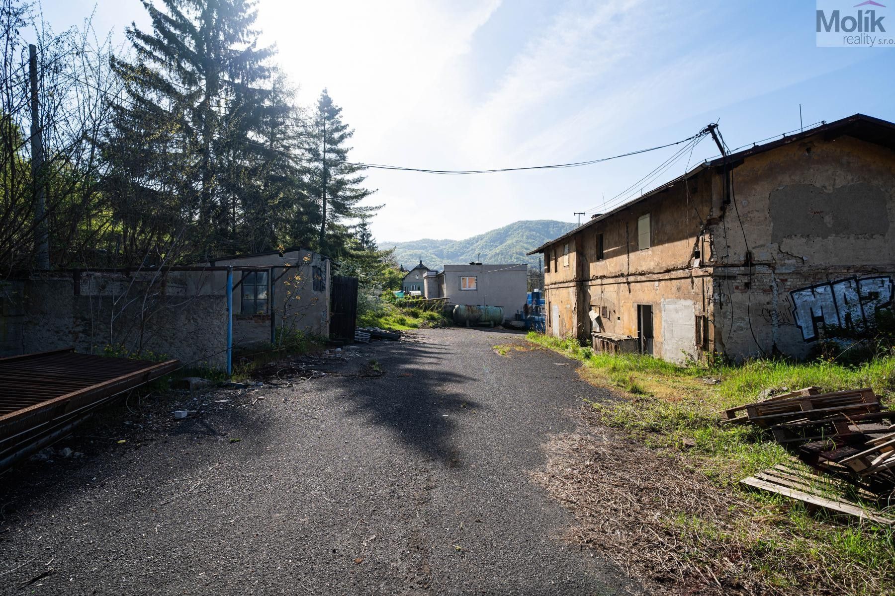 Prodej nemovitosti 35000 m² - foto 13