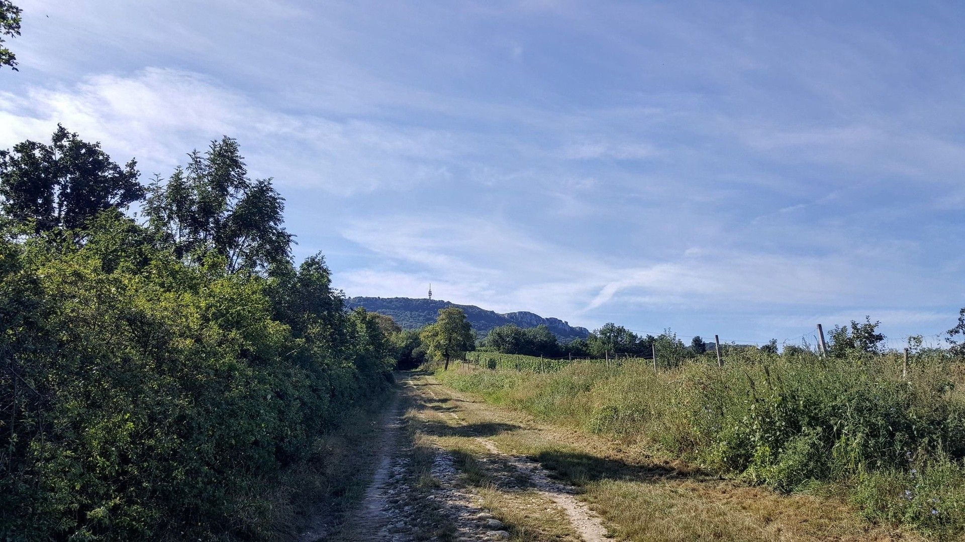 Prodej pozemku 1941 m² - foto 2