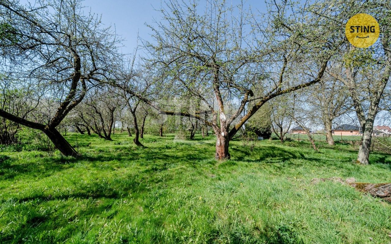 Prodej pozemku 1082 m² - foto 9