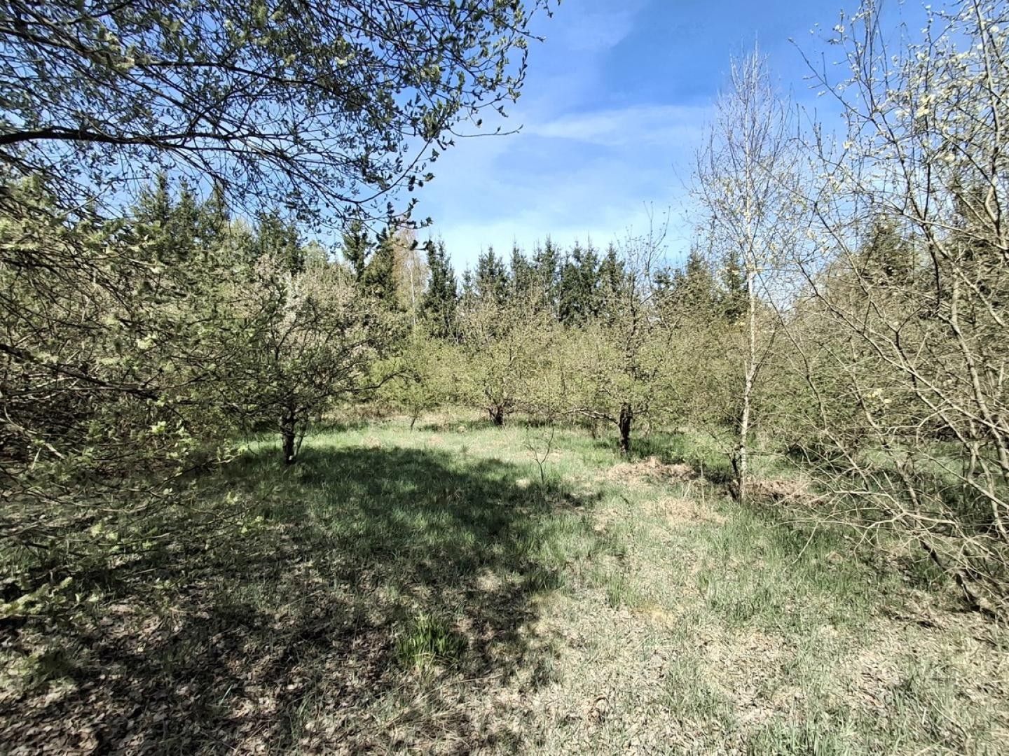 Prodej pozemku 18373 m² - foto 5