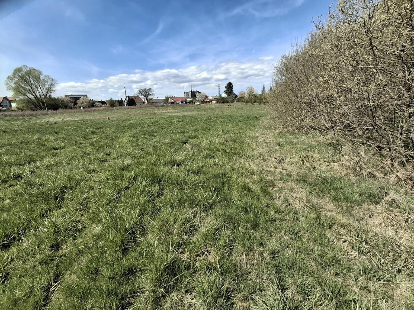 Prodej pozemku 18373 m² - foto 10