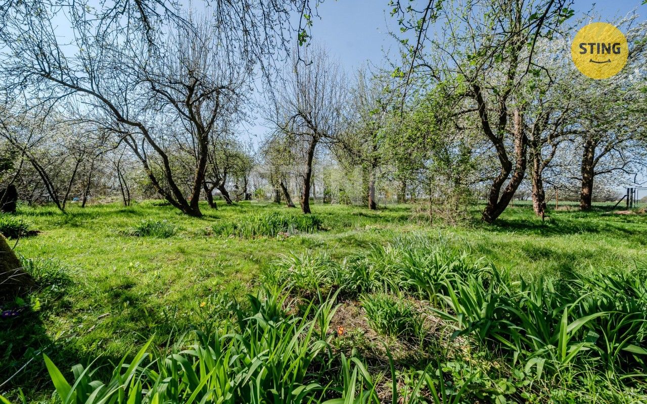 Prodej pozemku 2165 m² - foto 11