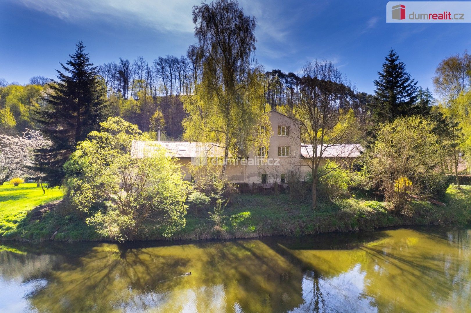 Prodej komerčního prostoru 3615 m² - foto 9