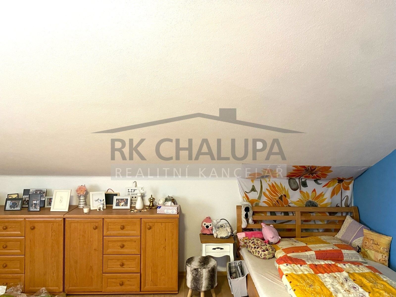 Prodej domu 300 m² - foto 27