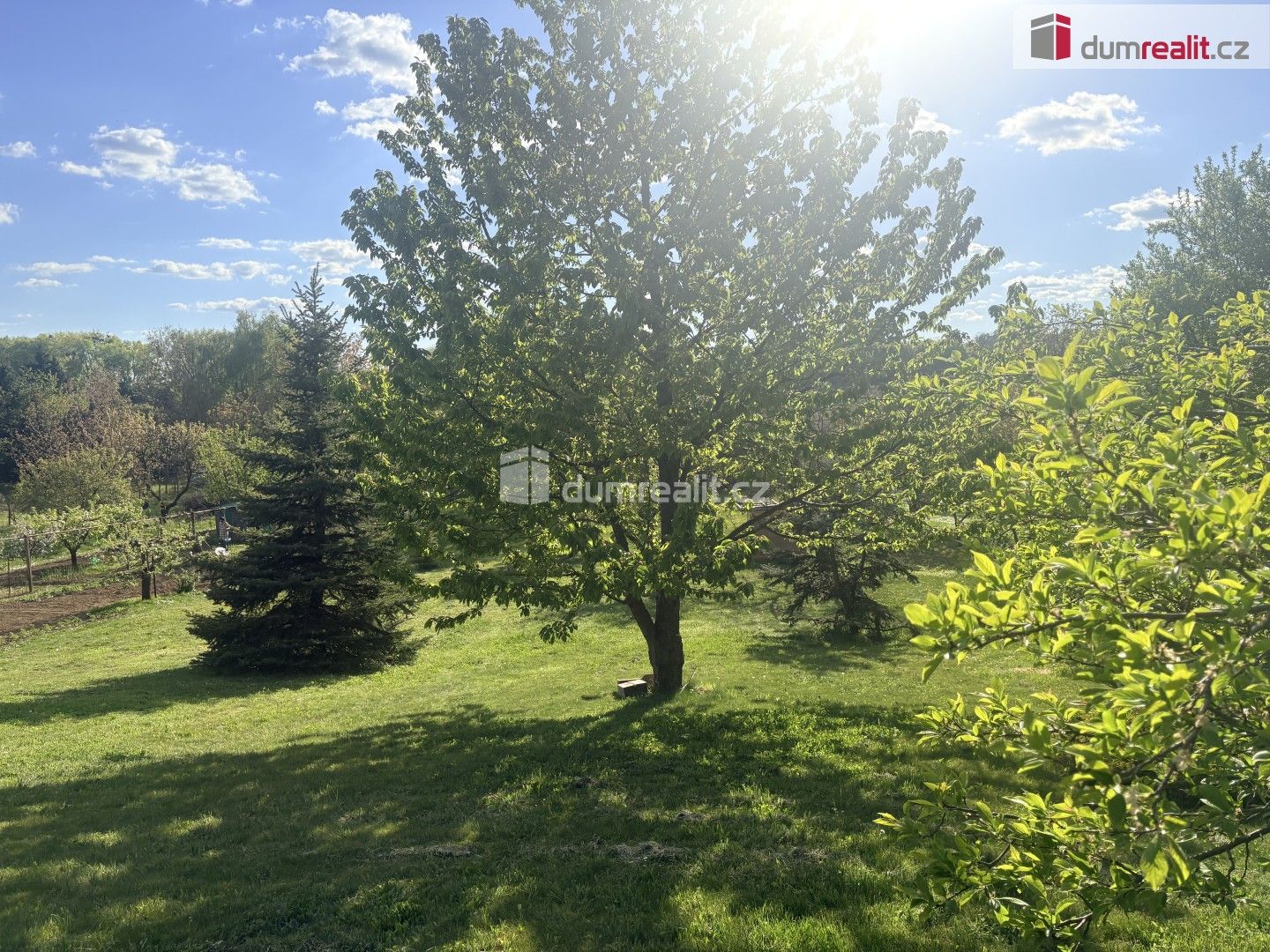 Prodej pozemku 888 m² - foto 5