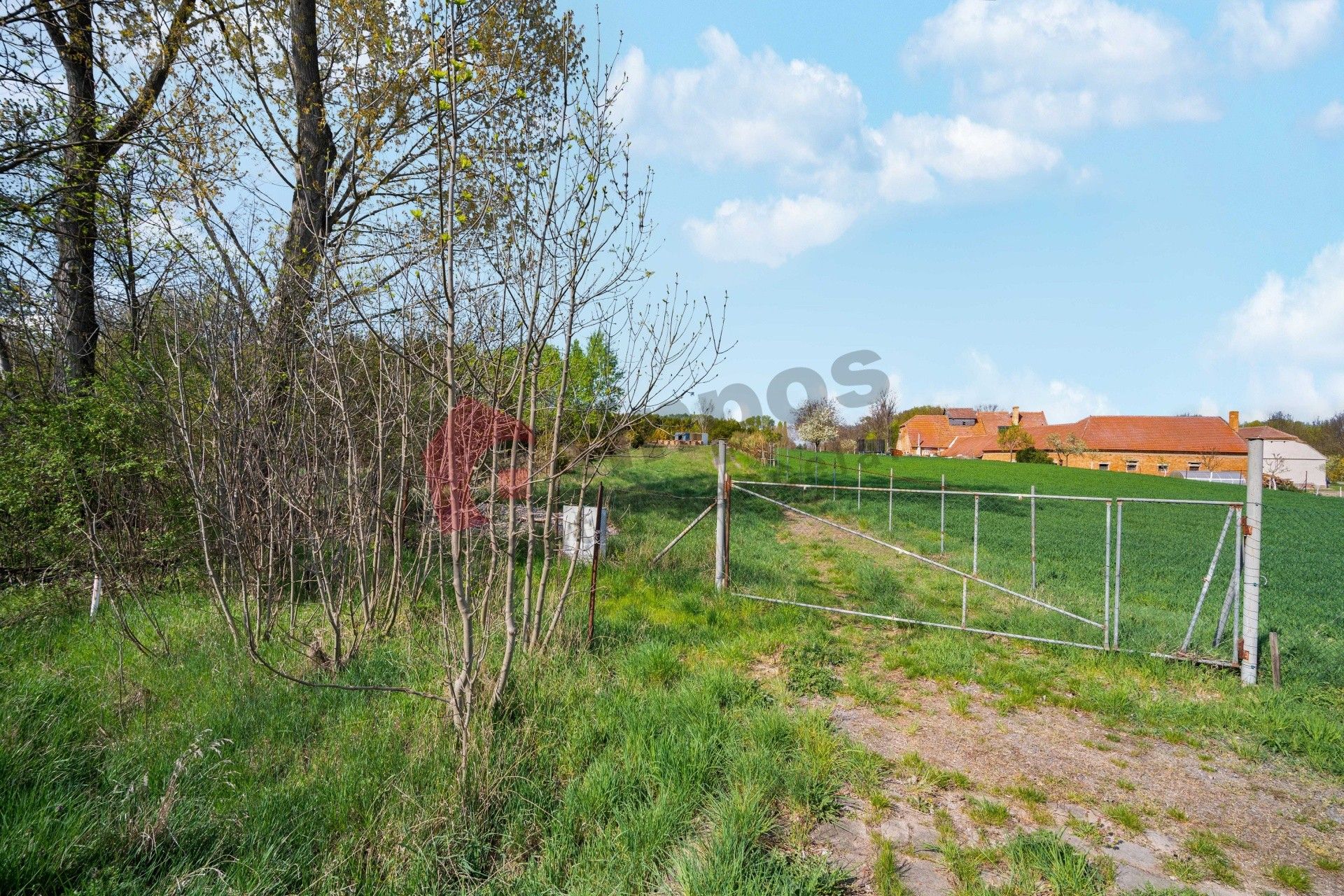 Prodej pozemku 3451 m² - foto 3