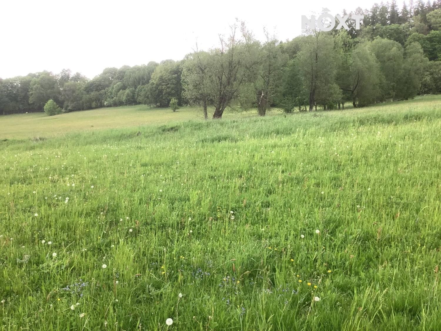 Prodej nemovitosti - foto 2