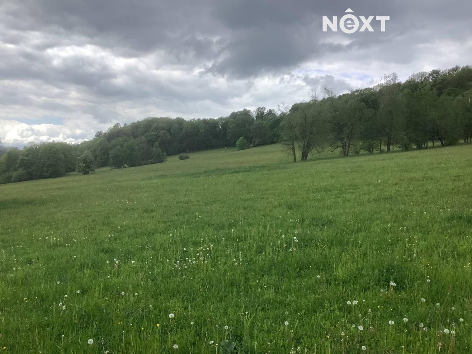 Prodej nemovitosti - foto 5