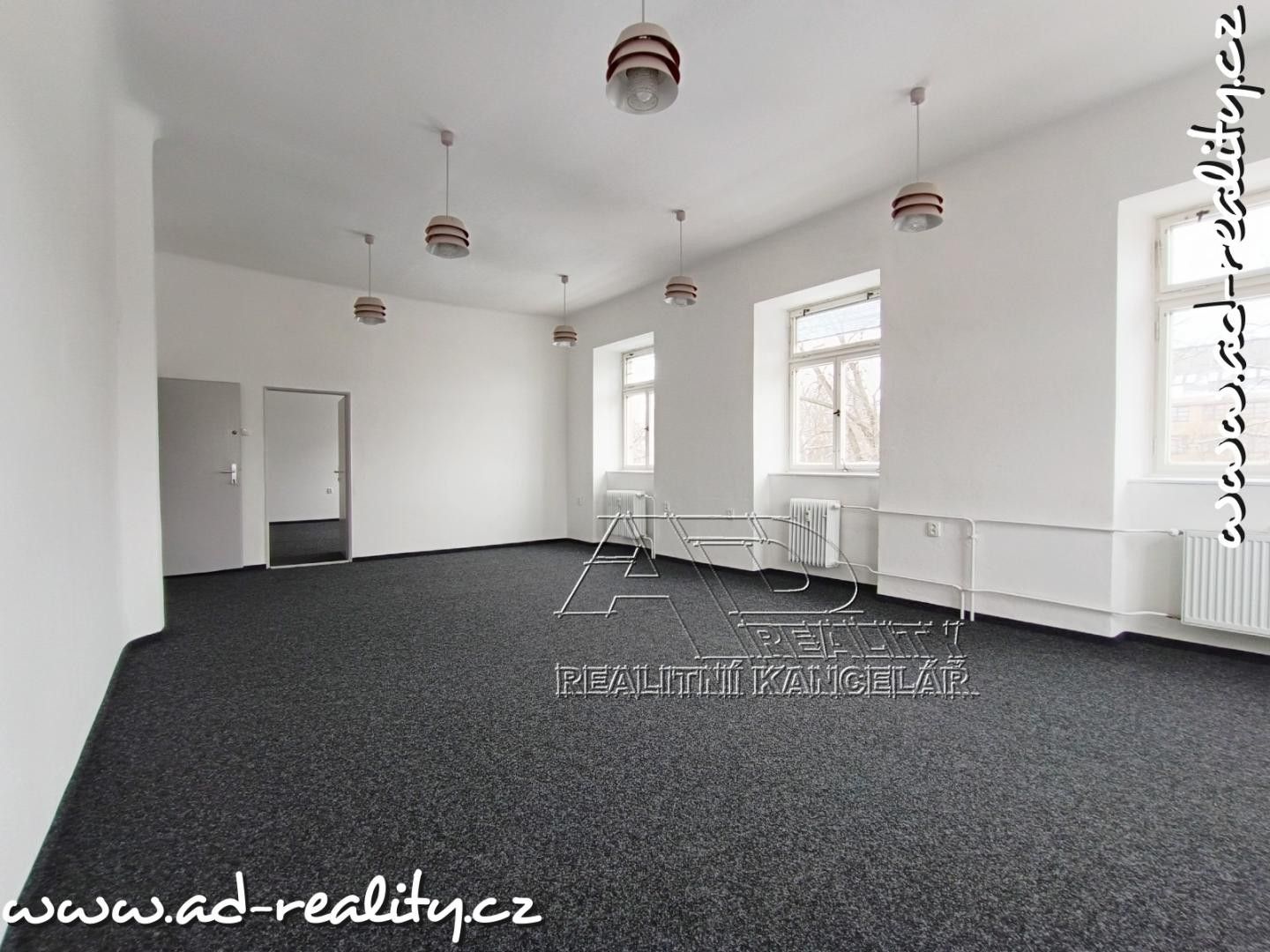 Pronájem komerčního prostoru 132 m² - foto 7