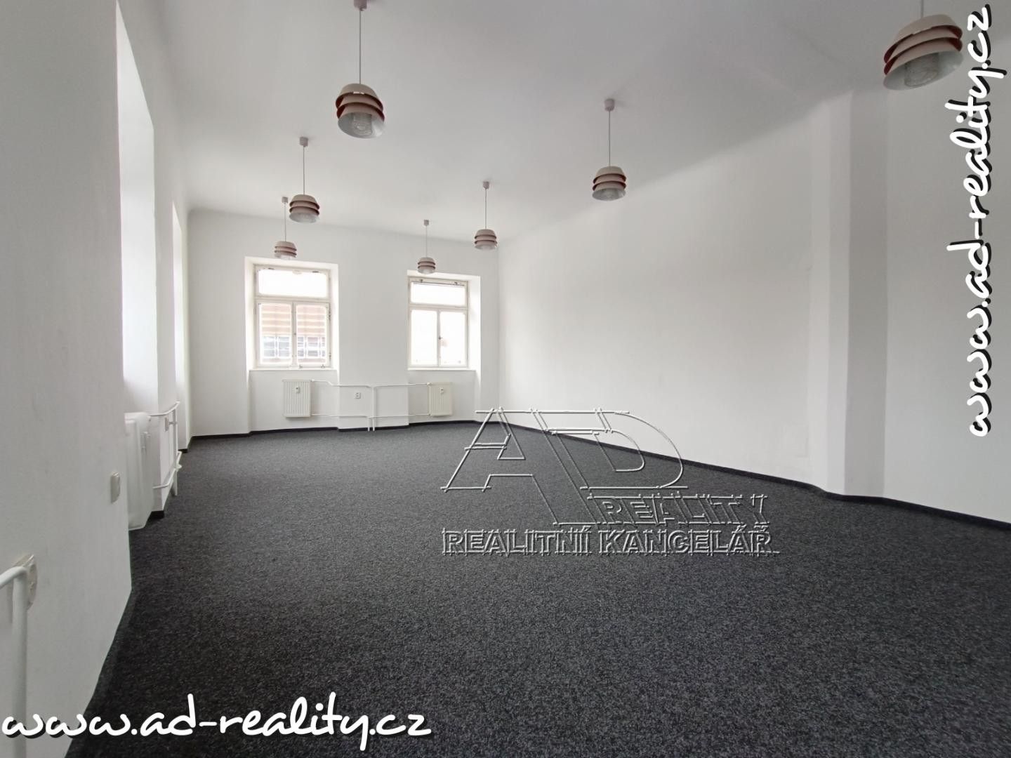 Pronájem komerčního prostoru 132 m² - foto 5