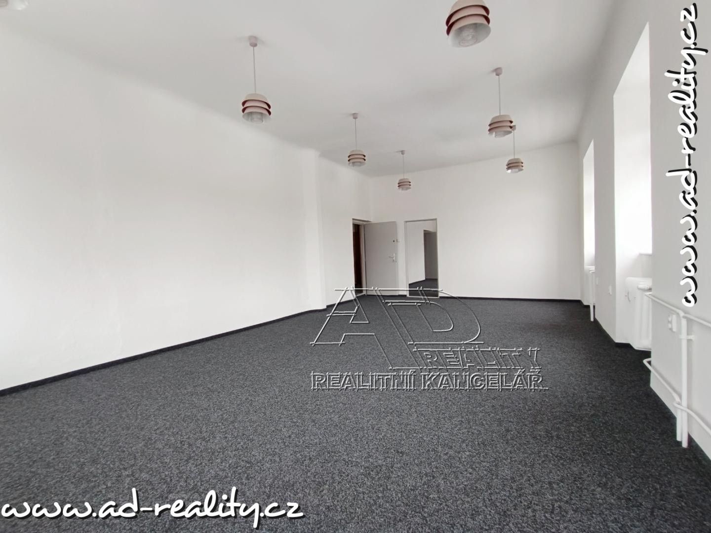 Pronájem komerčního prostoru 132 m² - foto 6